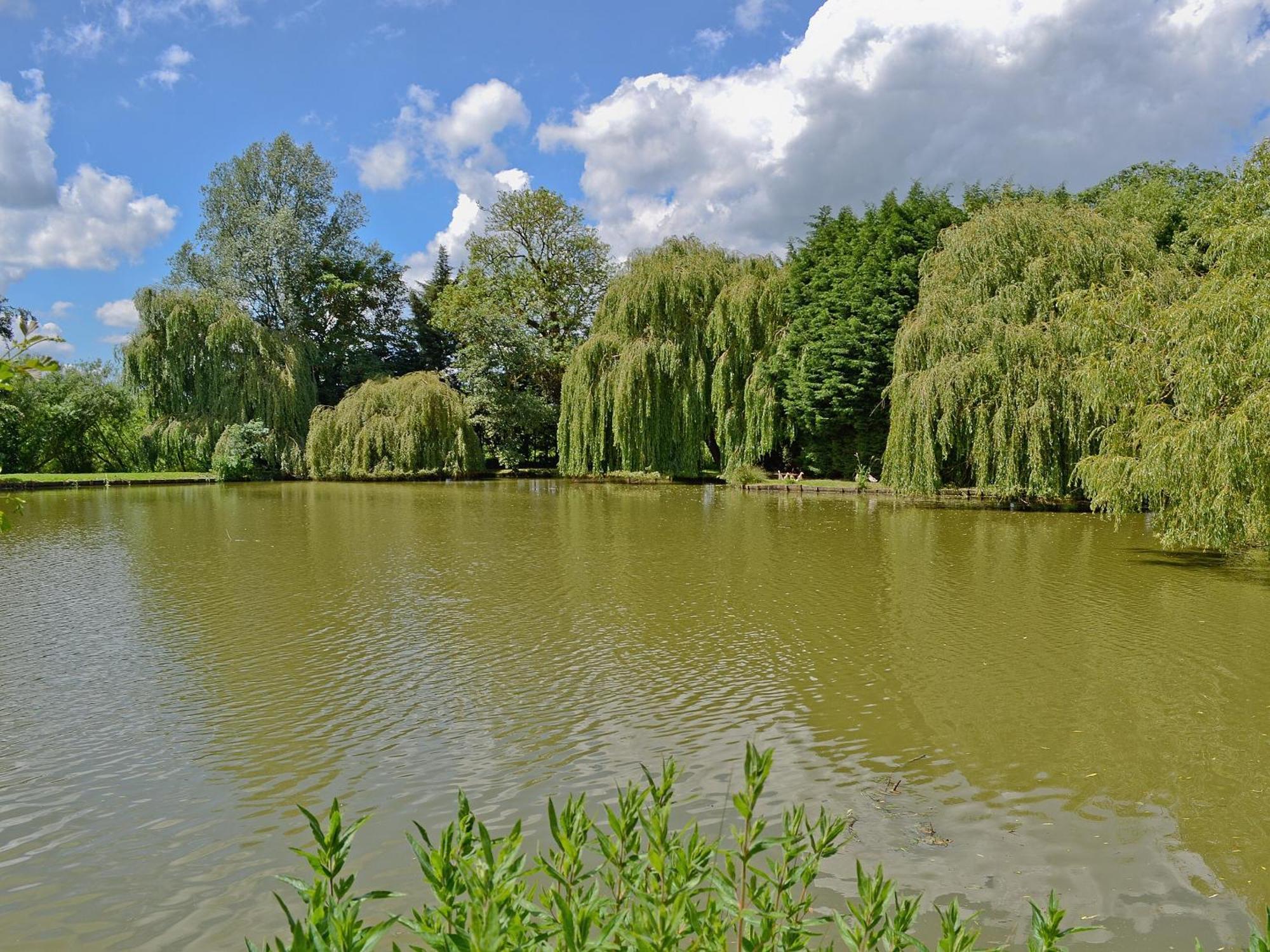 Lake House Cottage Finchingfield 외부 사진